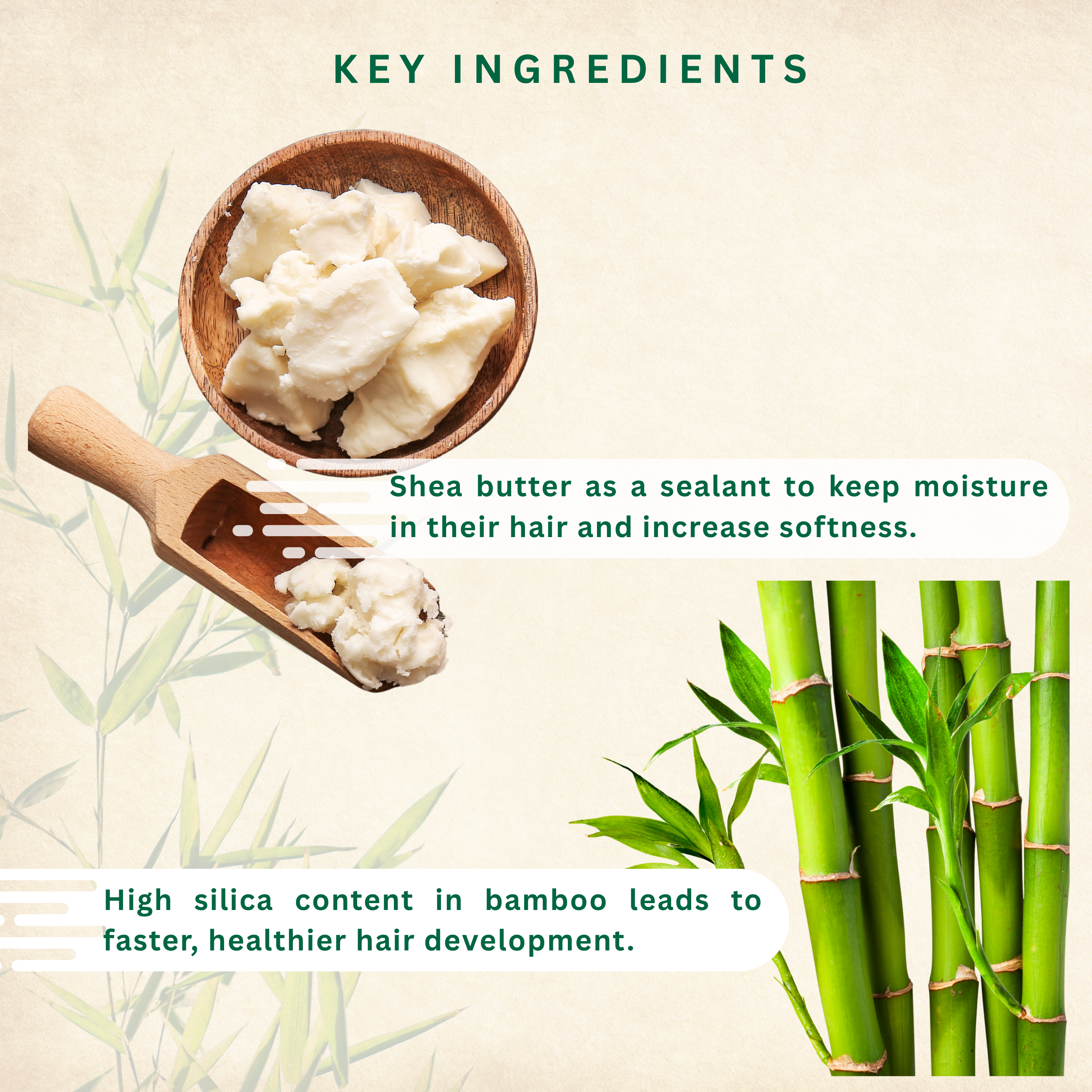 Shea butter and bamboo conditioner