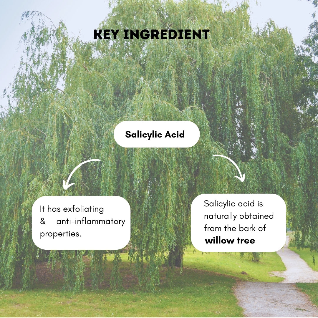 Anti-Dandruff Scalp Reset Comb